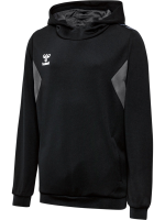 Hummel hmlAUTHENTIC PL HOODIE KIDS