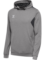 Hummel hmlAUTHENTIC PL HOODIE Unisex