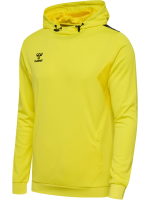 Hummel hmlAUTHENTIC PL HOODIE Unisex