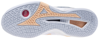 Mizuno Wave Stealth Neo Women