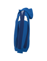 Erima CELEBRATE 125 Training Jacket with hood new...