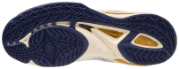 Mizuno Wave Mirage 5 Men %