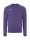 Craft EVOLVE 2.0 CREWNECK Men