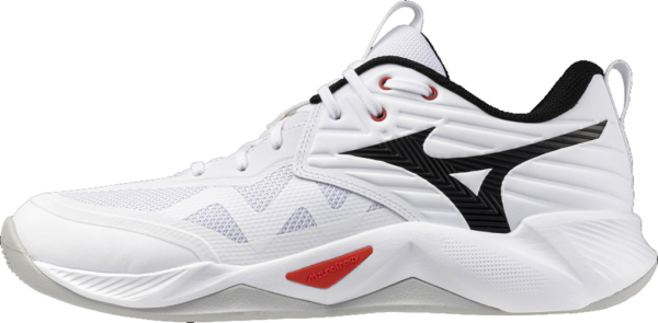 Mizuno Wave Momentum Pro Men