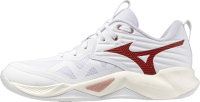 Mizuno Wave Momentum Pro Women