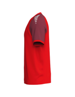 Erima WINGS Jersey Shortsleeve rot/bordeaux KIDS