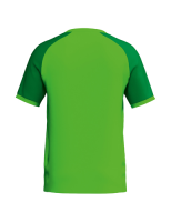 Erima WINGS Jersey Shortsleeve green gecko/smaragd MEN