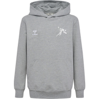 PSG HOODIE (KIDS)