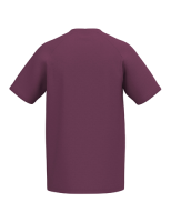 Erima CMPT Wings T-Shirt burgundy/laender UNISEX