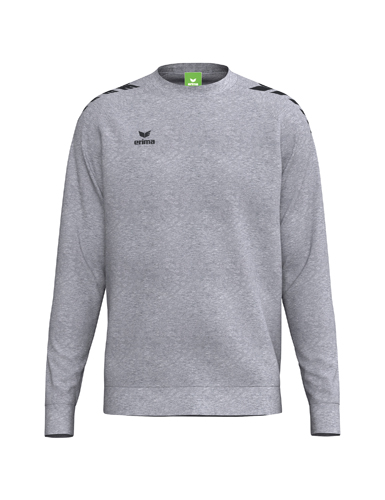 Erima CMPT Wings Sweatshirt grau melange KIDS