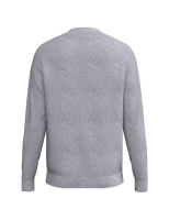 Erima CMPT Wings Sweatshirt grau melange KIDS