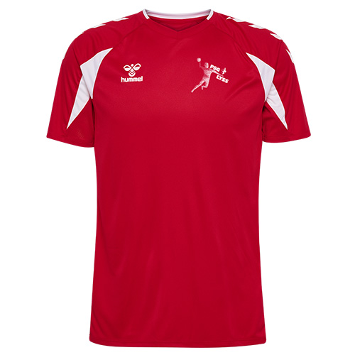 PSG TRAININGSSHIRT KURZ (MEN)